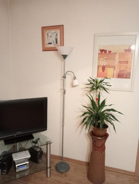 Apartament Stroma 4 Zakopane Eksteriør bilde